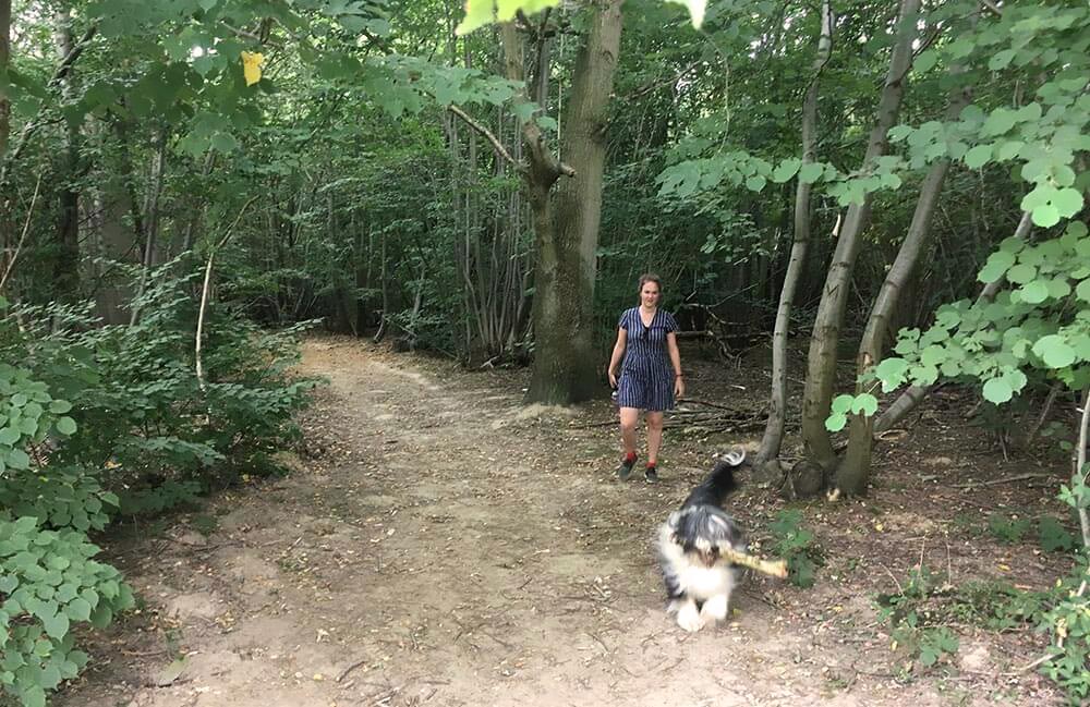 Dog Friendly Days out in Essex: Chalkney Woods, Earls Colne, Essex